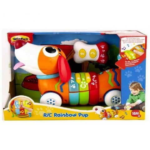 CHIOT ARC EN CIEL R/C