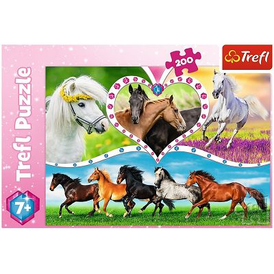 5900511132489-puzzle-200-chevaux-13248