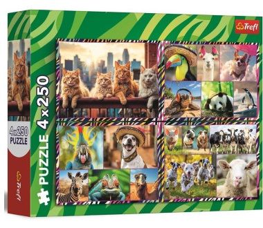 5900511133134-puzzle-4*250