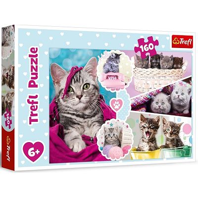 PUZZLE 160 LOVELY KITTENS 15371