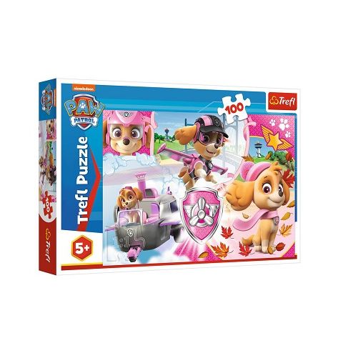 5900511163681-puzzle-,-paw-patrol-sky-in-action-puzzle,-100-pcs