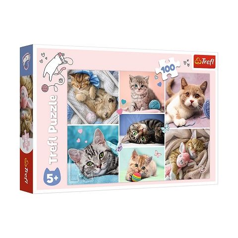 5900511164206-puzzle-,-dans-le-monde-des-chats