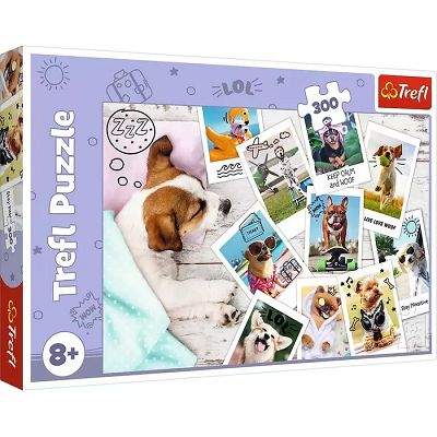 5900511230031-puzzle-300-holiday-pictures-23003