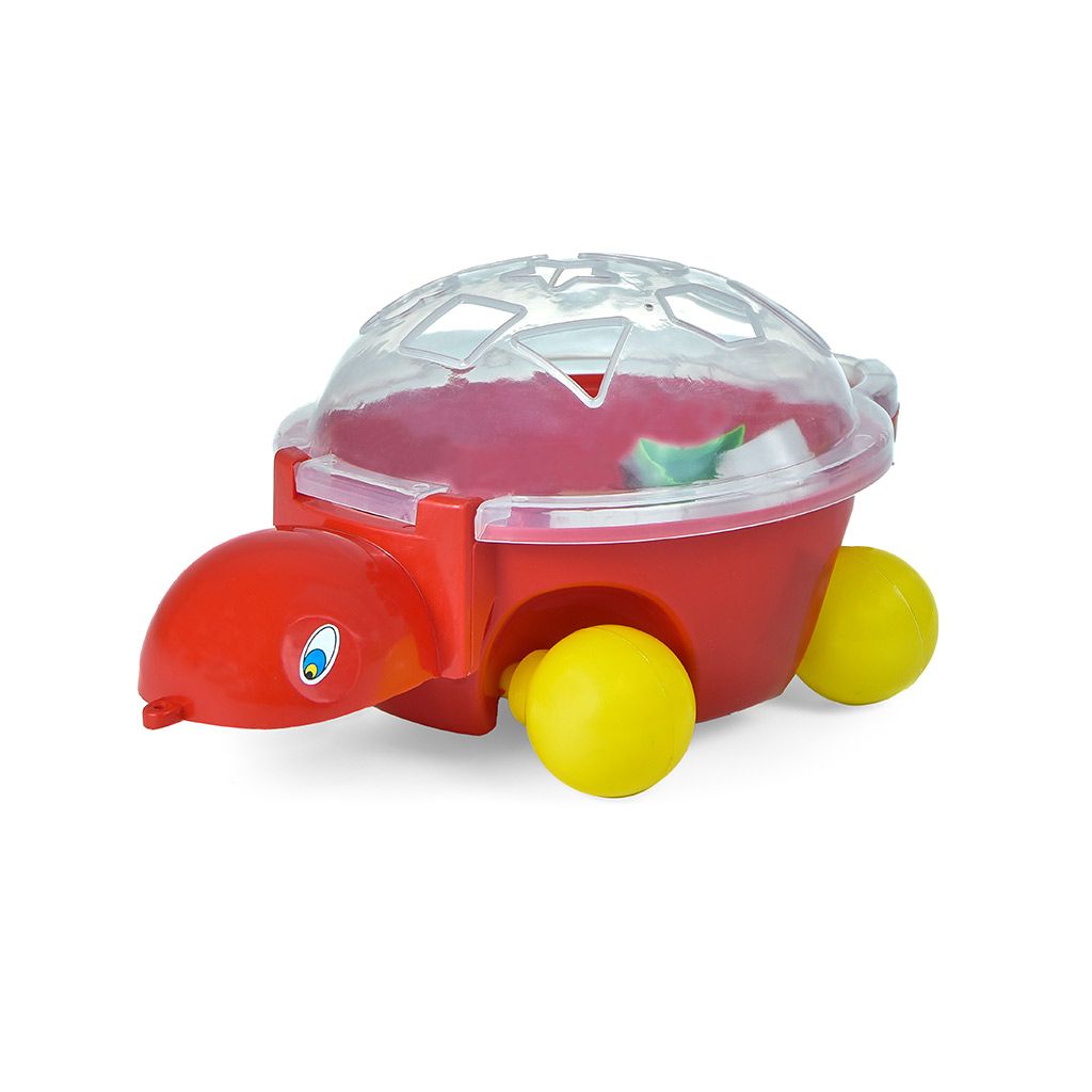 6194052505751-tortue-avec-jeux-educatif