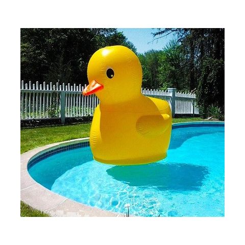 DUCK GEANTE