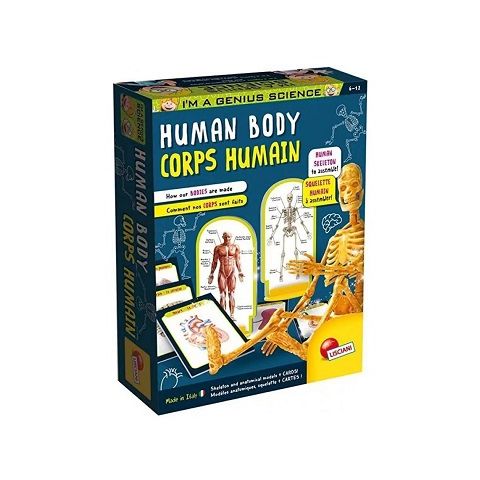 8008324081349-corp-humain