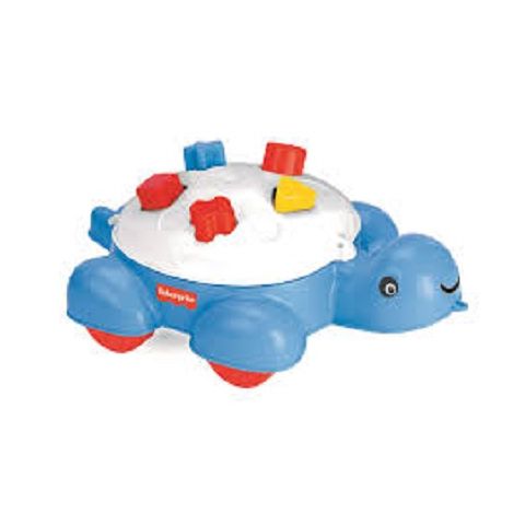 8690089018045-tortue-jeu-forme
